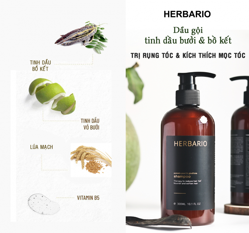 Bộ sản phẩm thuần chay chăm sóc & trị rụng tóc của Herbario