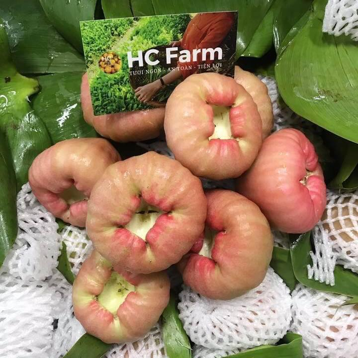 HC Farm - Thực phẩm Tự nhiên & Đặc sản Vùng miền