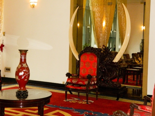 Cặp ngà voi được xem là lớn nhất ở Việt Nam ở phòng khách của tổng thống.